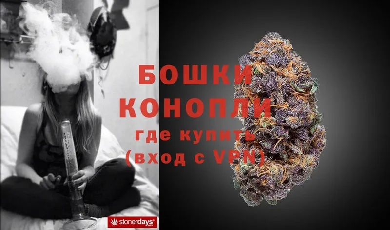 Конопля SATIVA & INDICA  магазин продажи наркотиков  Бирск 